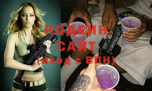 индика Армянск