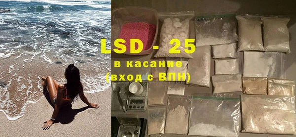 spice Аркадак