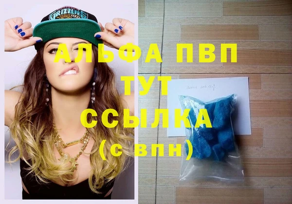 индика Армянск